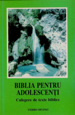 Biblia pentru adolescenti foto