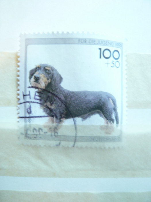 Timbru 100 + 50 pf. 1995 -Caine- Germania ,stampilat