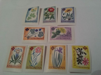 romania 1961 gradina botanica/serie nedantelata MNH/FLORA foto