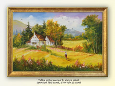 La casa bunicilor (2) - pictura peisaj rural, ulei pe panza cu rama, 67x47cm foto
