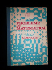 I. Petrica, Probleme de matematica pentru gimnaziu foto
