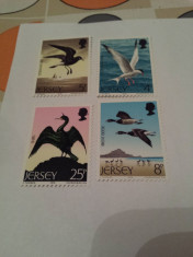 anglia/jersey 1975 pasari/serie MNH fauna foto