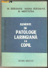 Elemente de patologie laringiana la copil-M.Buruiana