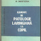 Elemente de patologie laringiana la copil-M.Buruiana