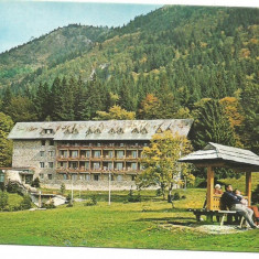 @carte postala(ilustrata)-POIANA BRASOV-Hotel Bradul