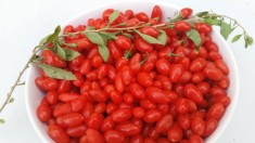 Pret Goji fructe proaspete 600g + GRATIS o punga de ceai Goji foto