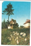 @carte postala(ilustrata)-PREDEAL -vile