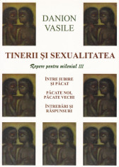 Danion Vasile - Tinerii si sexualitatea - 554736 foto