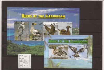 Canouan - Grenadines of St. Vincent - pasari caribbean foto