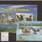 Canouan - Grenadines of St. Vincent - pasari caribbean