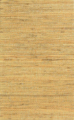 FAIANTA ARGENTA BAMBU OCRE 40x25 foto