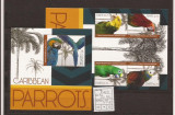 St. Kitts - parrots caribbean - 1306/9+bl.162, Natura, Nestampilat