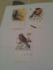 Belgia pasari buzin/ 3 v. MNH, Nestampilat