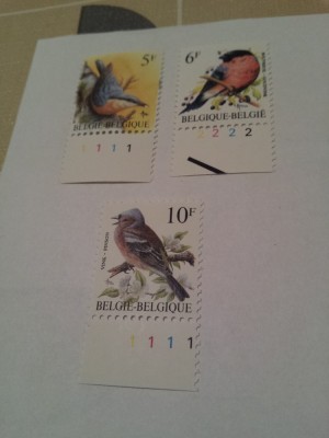 belgia pasari buzin/ 3 v. MNH foto