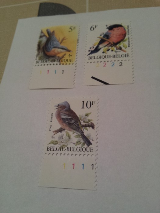 belgia pasari buzin/ 3 v. MNH