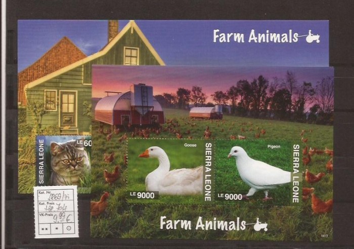 Sierra Leone - farm animals - 2013