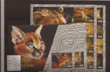 Liberia - wild cats of Africa