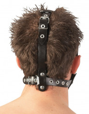Head Harness dildo foto