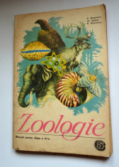 Zoologie manual pentru clasa a VI a - 1984 foto