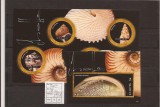 St. Kitts - shells - 1286/89+bl.122, Natura