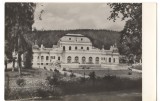 CPI (B7035) CARTE POSTALA - VATRA DORNEI. PAVILIONUL CENTRAL AL BAILOR, RPR, Necirculata, Fotografie
