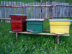 apicultura stupi foto