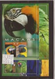 Nevis - Macaws parrots, Natura, Nestampilat