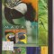 Nevis - Macaws parrots