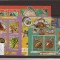 Canouan - Grenadines of St. Vincent - seashells