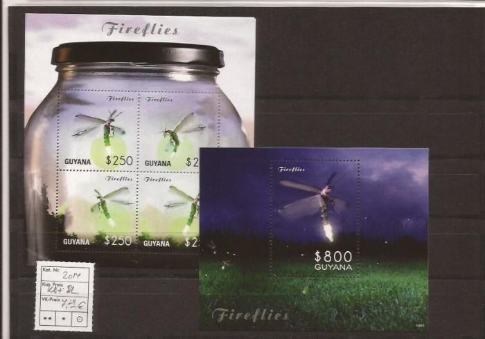 Guyana - fireflies - 2014 seria