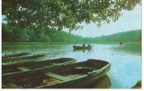CPI (B7045) CARTE POSTALA - SIBIU. LACUL DIN DUMBRAVA, Circulata, Fotografie