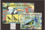 Tanzania - sunbirds of Africa