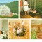 CPI (B7153) CARTE POSTALA - COVASNA. STATIUNEA BALNEARA, MOZAIC