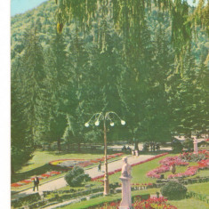 CPI (B7199) CARTE POSTALA - SLANIC MOLDOVA. VEDERE DIN PARC, RPR