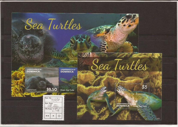 Dominica - sea turtles - 2014 seria