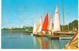 CPI (B7102) CARTE POSTALA - MAMAIA. PE SIUT-GHIOL, BARCI, VELE