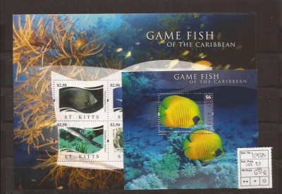 St. Kitts - Caribbean Game Fish foto