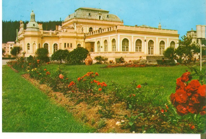 CPI (B7161) CARTE POSTALA - VATRA DORNEI