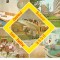 CPI (B7125) CARTE POSTALA - BAILE FELIX. COMPLEXUL BALNEAR UGSR