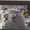 Togo - parrots - 2014 seria