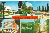 CPI (B7128) CARTE POSTALA - ORADEA - BAILE FELIX. MOZAIC, Circulata, Fotografie