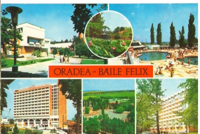 CPI (B7128) CARTE POSTALA - ORADEA - BAILE FELIX. MOZAIC foto