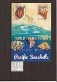 Tuvalu - Pacific seashells