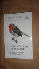 Pasari comune din Romania din habitate agricole,localitati si paduri foto