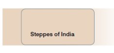 Vopsea lavabila Dulux Steppes of India 5L foto