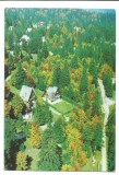 @carte postala(ilustrata)-SINAIA-Vila de pe Furnica