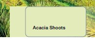 Vopsea lavabila Dulux Acacia Shoots 2.5L foto