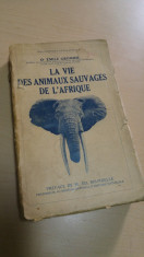 La vie des animaux sauvages de l&amp;#039;Afrique - Dr. Emile Gromier/ 1938 foto