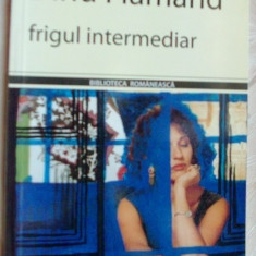 DINU FLAMAND - FRIGUL INTERMEDIAR (VERSURI, 2006) [dedicatie / autograf]
