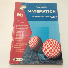 Petre Nachila - Matematica manual pentru clasa a XII a M2,P3